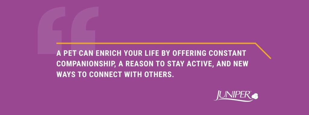 infographic that says 'A pet can enrich your life by offering constant companionship, a reason to stay active, and new ways to connect with others.'